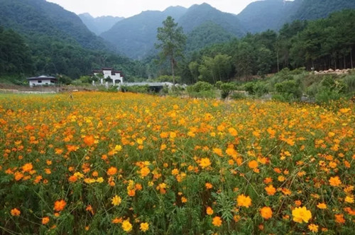 云門山度假區(qū)入選2017廣東省高端旅游項目庫