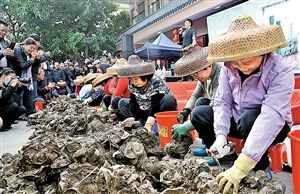 沙井金蠔節已成為濱海寶安的閃亮名片