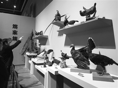 假期過半 不妨看幾場雞年主題展