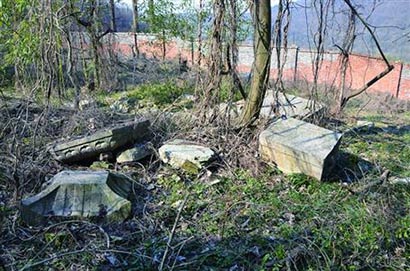 有石龜有石塔 南京青龍山樹林里發現明代寺廟遺址