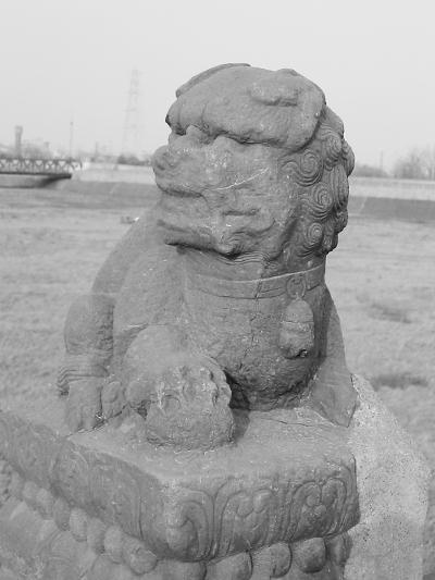盧溝橋獅子首次排輩 501頭石獅雕刻于六個時代